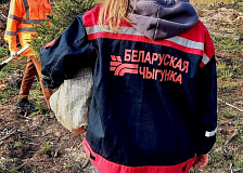 Молодежь Полоцкого узла приняла участие в акции «Неделя леса»